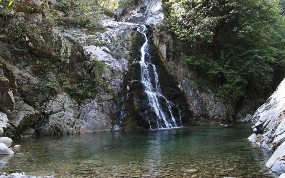 B&B Villa Tavallini Pollone Dış mekan fotoğraf
