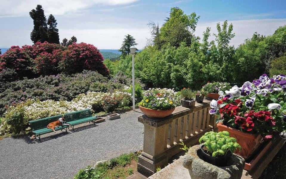 B&B Villa Tavallini Pollone Dış mekan fotoğraf